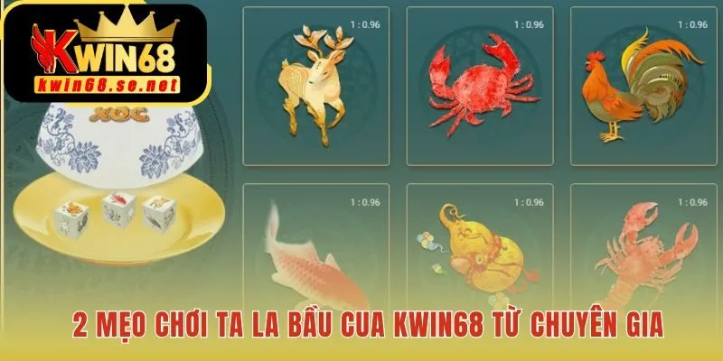 Mẹo chơi Tá Lả Bầu Cua giúp mỗi quyết định có cơ sở