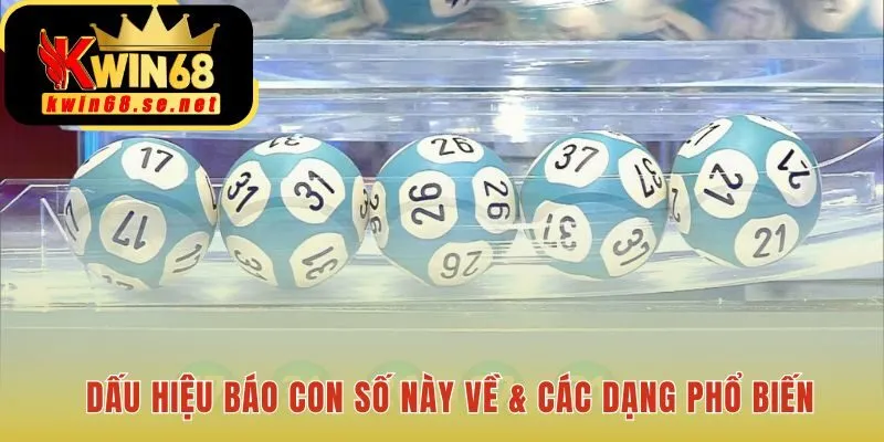 Dấu hiệu nhận biết số về qua phân tích giải đặc biệt