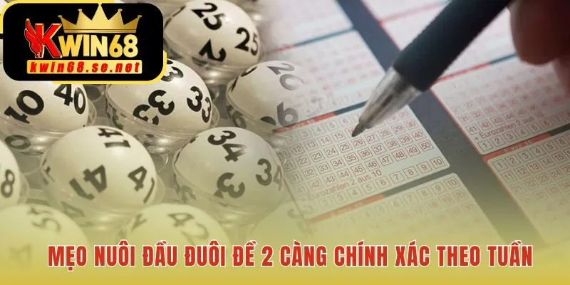 Đề 2 càng chính xác cần chiến thuật phân tích bài bản